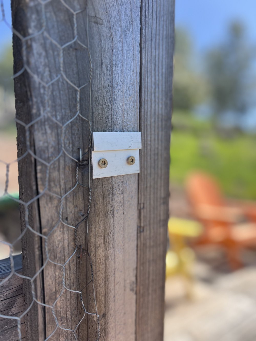 Birdhouse - Home Tweet Home
